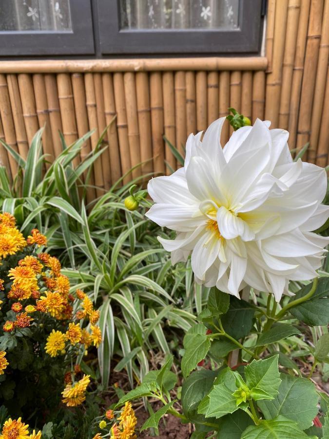 Trang An Moon Garden Homestay Ninh Bình Extérieur photo