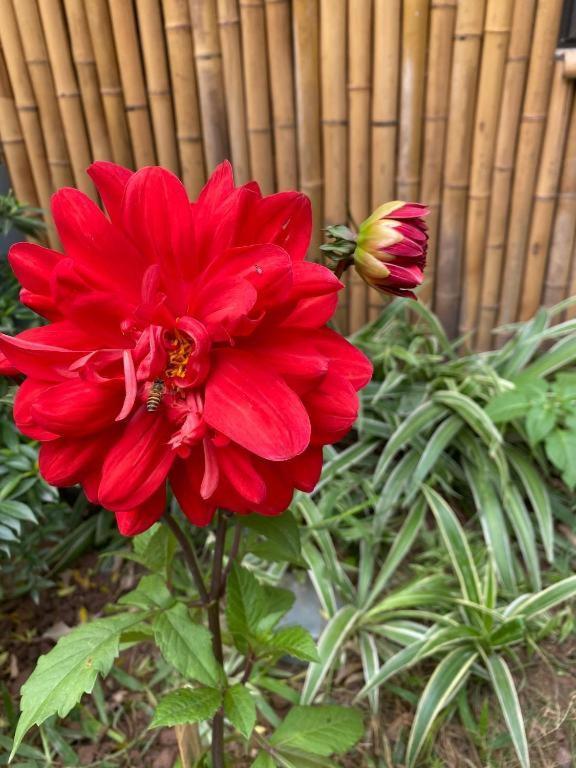 Trang An Moon Garden Homestay Ninh Bình Extérieur photo