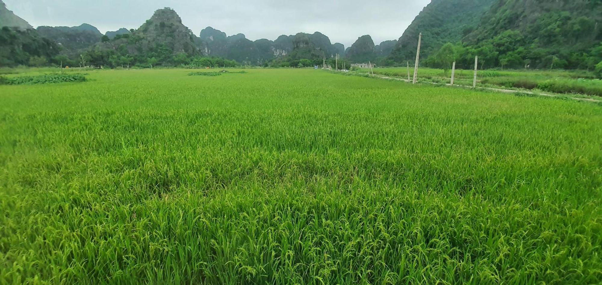 Trang An Moon Garden Homestay Ninh Bình Extérieur photo
